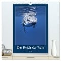 Im Reich der Wale (hochwertiger Premium Wandkalender 2025 DIN A2 hoch), Kunstdruck in Hochglanz - Travelpixx. com Travelpixx. com