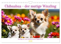 Cover-Bild zum Titel 'Chihuahua - der mutige Winzling (Wandkalender 2026 DIN A4 quer), CALVENDO Monatskalender' von 'Claudia Kleemann'