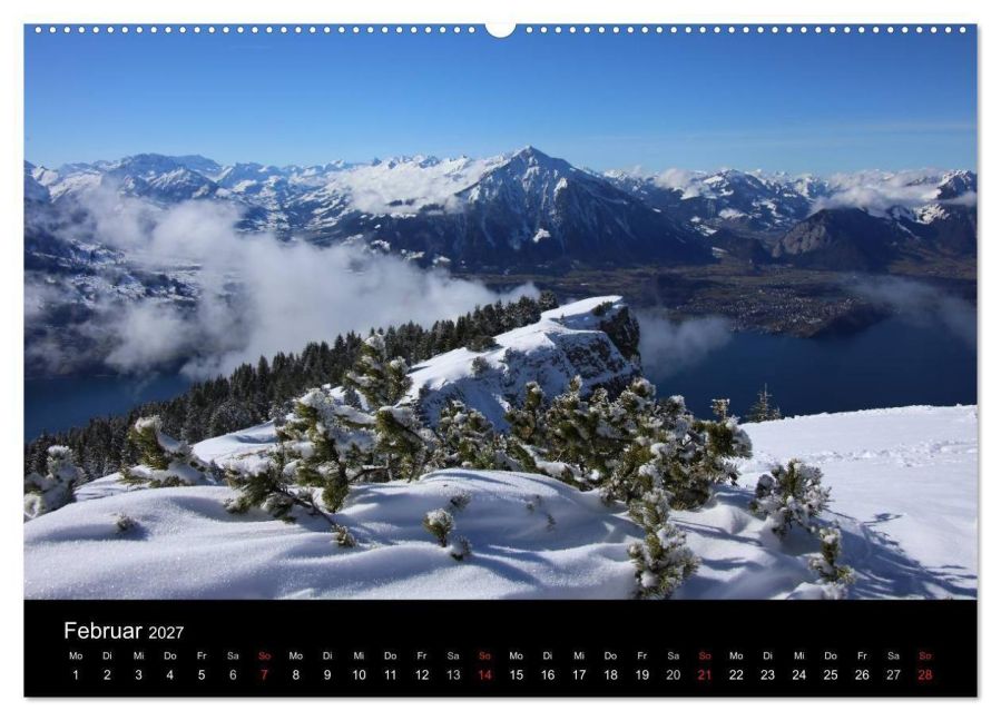 InsideView 4