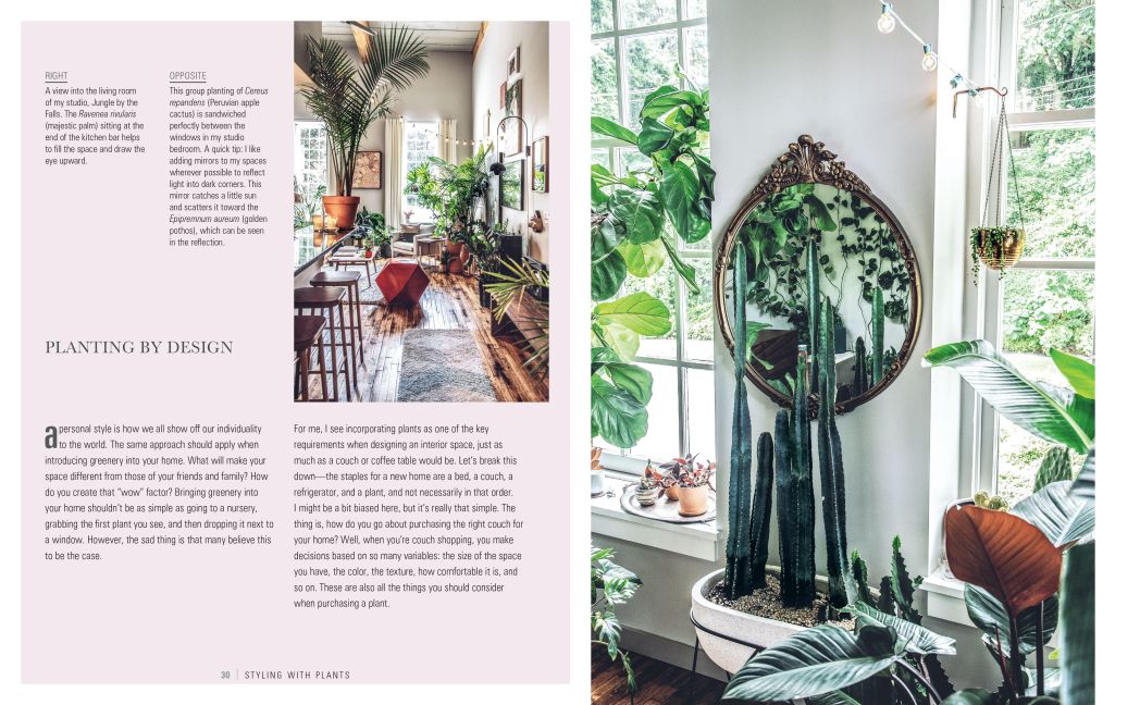 InsideView 2
