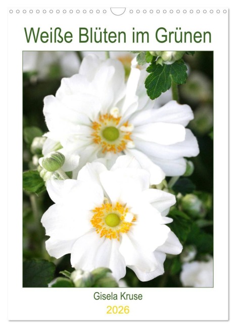 Weiße Blüten im Grünen (Wandkalender 2026 DIN A3 hoch), CALVENDO Monatskalender - Gisela Kruse