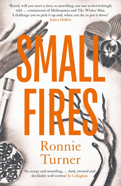 Small Fires - Ronnie Turner