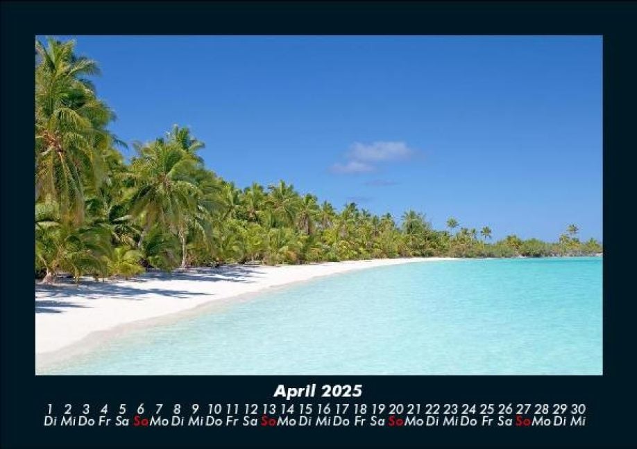 InsideView 8