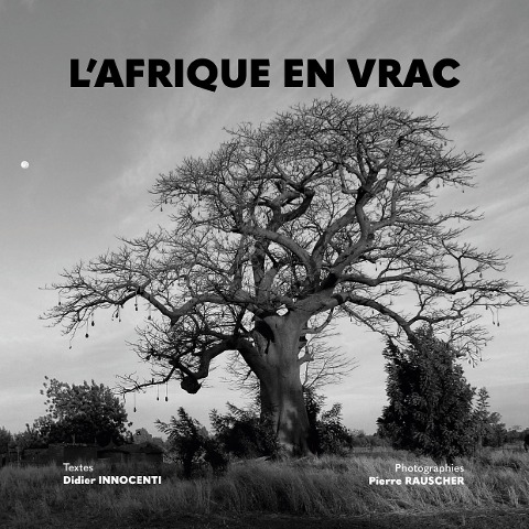 L'AFRIQUE EN VRAC - Didier Innocenti, Pierre Rauscher