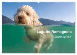Lagotto Romagnolo - Wasserspiele (Wandkalender 2026 DIN A2 quer), CALVENDO Monatskalender - Wuffclick-Pic Wuffclick-Pic