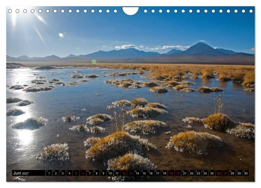 InsideView 11