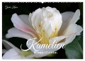 Kamelien - Blütenschönheiten (Wandkalender 2024 DIN A2 quer), CALVENDO Monatskalender - Gisela Kruse