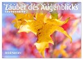 ZAUBER DES AUGENBLICKS Naturimpressionen (Tischkalender 2024 DIN A5 quer), CALVENDO Monatskalender - Bernd Maertens
