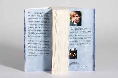 InsideView 3