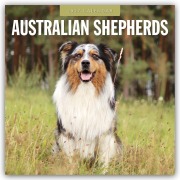 Cover-Bild zum Titel 'Australian Shepherds - Australian Shepherd 2027 - 16-Monatskalender' von 'Robin Red'