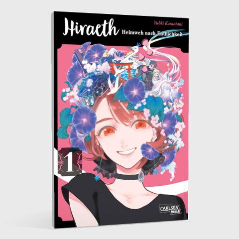 InsideView 1
