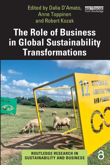 The Role of Business in Global Sustainability Transformations - 