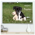 Welpen - Puppies (hochwertiger Premium Wandkalender 2025 DIN A2 quer), Kunstdruck in Hochglanz - Jeanette Hutfluss