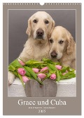 Grace und Cuba - Zwei liebenswerte Golden Retriever (Wandkalender 2025 DIN A3 hoch), CALVENDO Monatskalender - Jessica Bernhardt