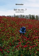 Cover-Bild zum Titel 'Bist du es...?' von 'Nimrodus'