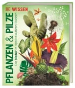 DK Wissen. Pflanzen und Pilze - 