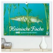 Cover-Bild zum Titel 'Heimische Fische: Karpfen, Forelle, Hecht (hochwertiger Premium Wandkalender 2026 DIN A2 quer), Kunstdruck in Hochglanz' von 'Calvendo Calvendo'