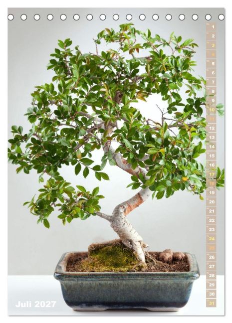 InsideView 12