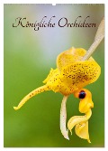 Königliche Orchideen (Wandkalender 2025 DIN A2 hoch), CALVENDO Monatskalender - Clemens Stenner