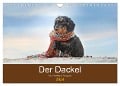 Der Dackel (Wandkalender 2024 DIN A4 quer), CALVENDO Monatskalender - Anja Foto Grafia Fotografie