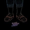 Cover-Bild zum Titel 'Blosz Keinen Stresz' von 'Soko Linx'
