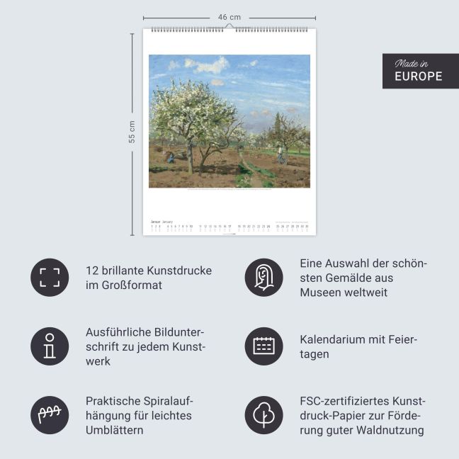 InsideView 13