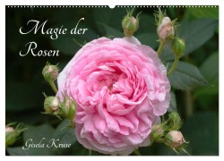 Magie der Rosen (Wandkalender 2025 DIN A2 quer), CALVENDO Monatskalender - Gisela Kruse