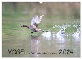 Vögel in Ost- und Norddeutschland 2024 (Wandkalender 2024 DIN A3 quer), CALVENDO Monatskalender - Rolf Jansen