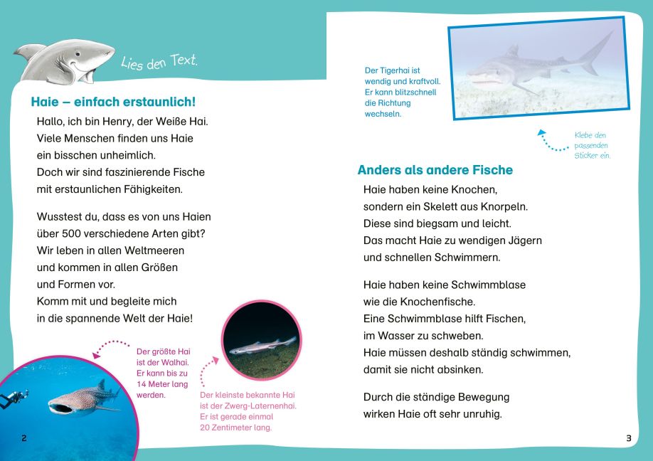 InsideView 1