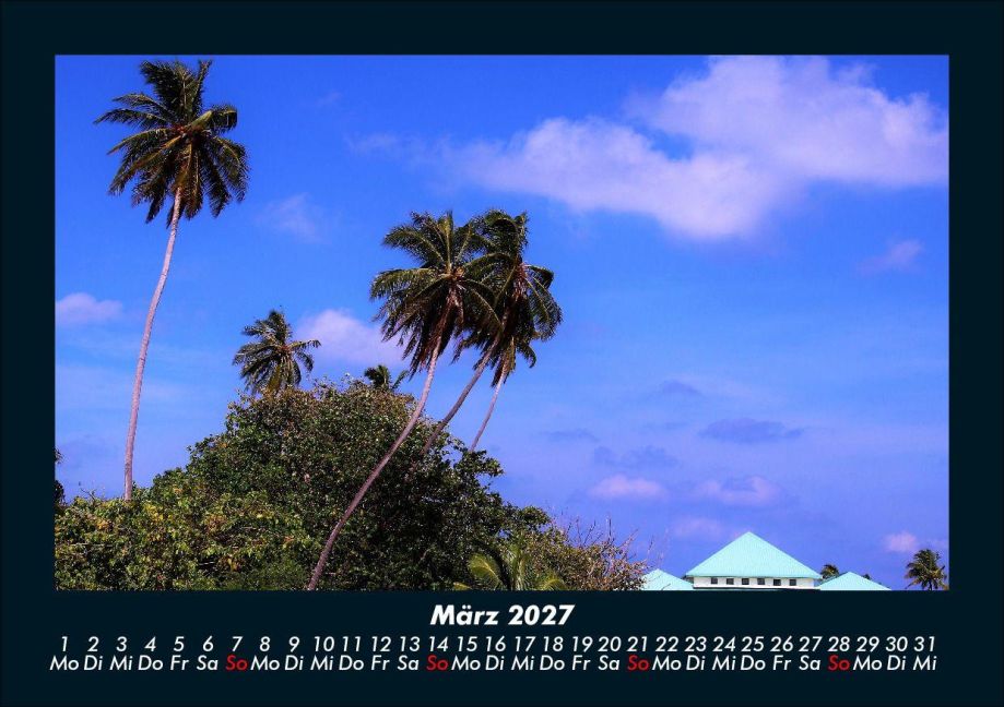 InsideView 7