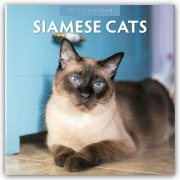 Cover-Bild zum Titel 'Siamese Cats - Siamkatzen - Siamesische Katzen 2027 - 16-Monatskalender' von 'Robin Red'
