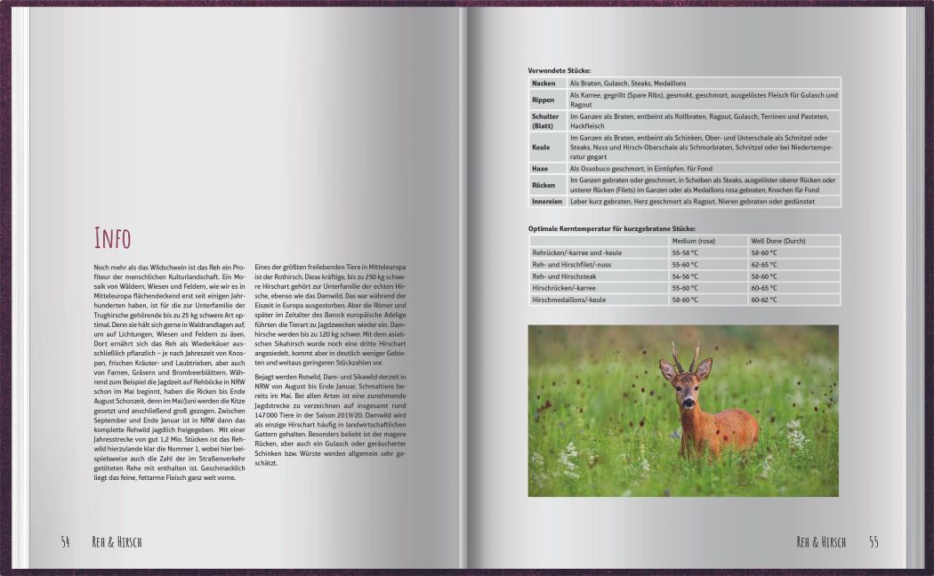 InsideView 10