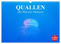 Cover-Bild zum Titel 'Quallen. Die Welt der Medusen (Wandkalender 2026 DIN A3 quer), CALVENDO Monatskalender' von 'Elisabeth Stanzer'