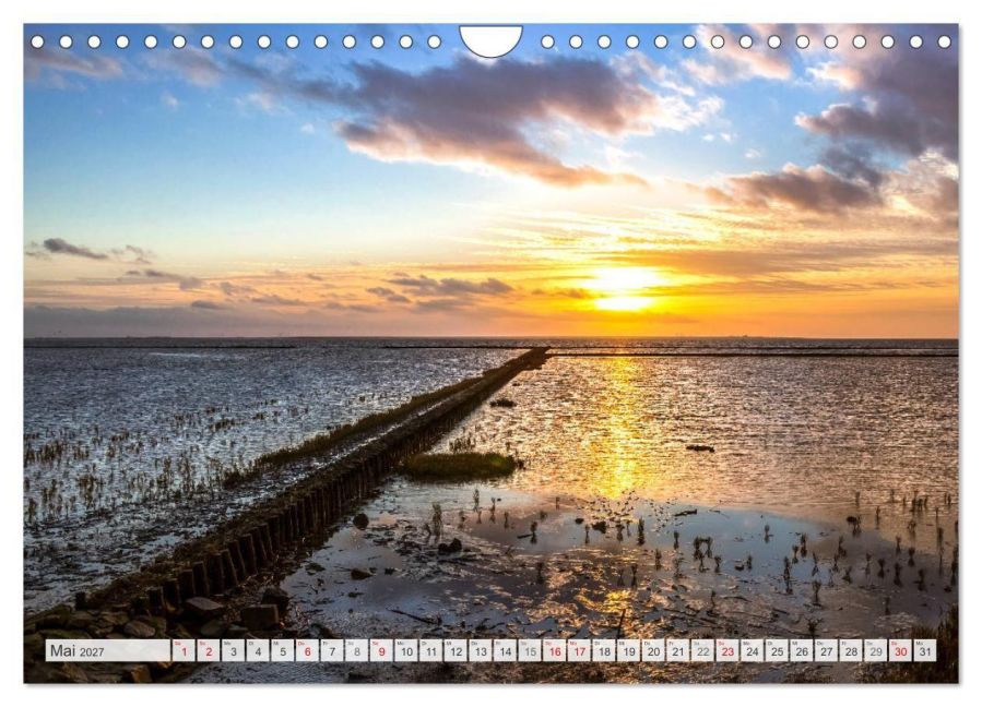 InsideView 10