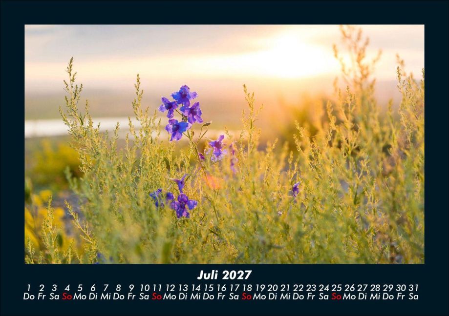 InsideView 11