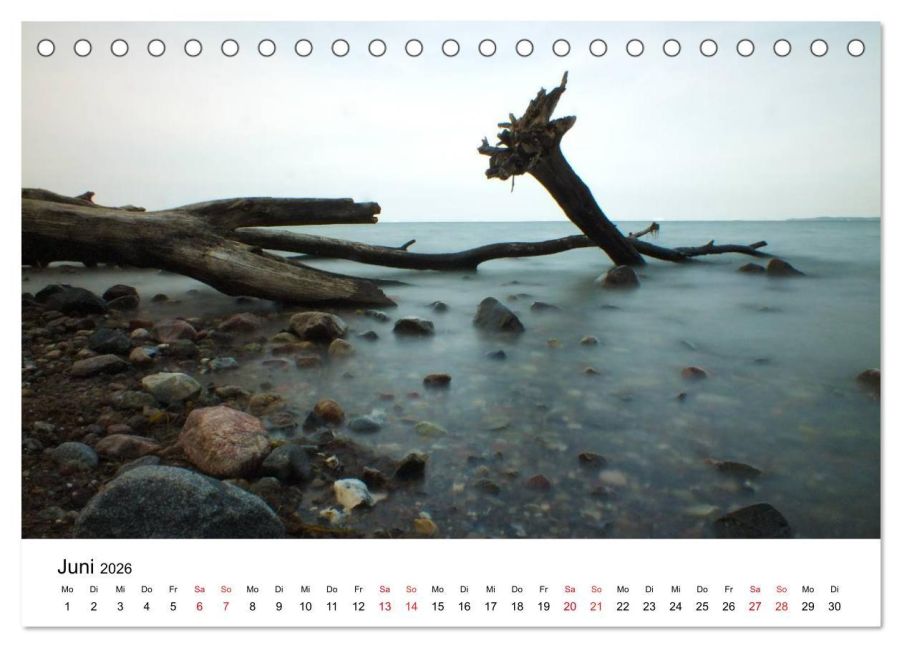InsideView 11