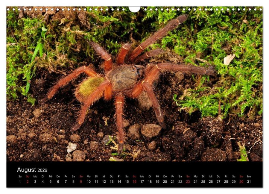 InsideView 13