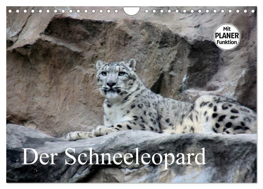 Der Schneeleopard (Wandkalender 2026 DIN A4 quer), CALVENDO Monatskalender - Arno Klatt