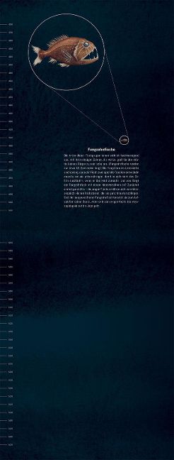 InsideView 4