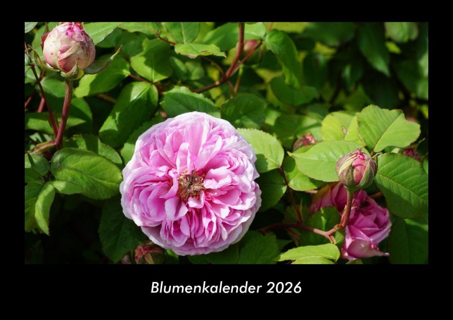 Blumenkalender 2026 Fotokalender DIN A3 - Tobias Becker