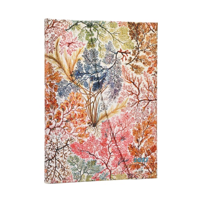12-Monatskalender 2027 Anemone Midi Verso - 