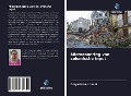 Cover-Bild zum Titel 'Microzonering van seismische input' von 'Dibyashree Lohani'