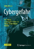 Cover-Bild zum Titel 'Cybergefahr' von 'Eddy Willems'