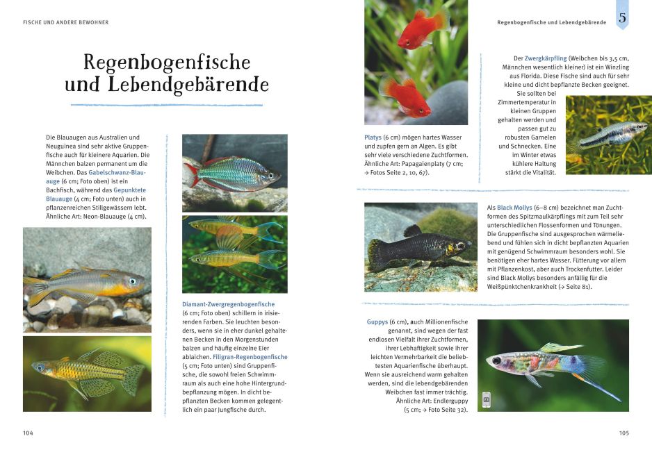 InsideView 10