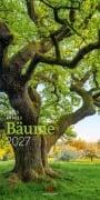 Cover-Bild zum Titel 'Bäume Kalender 2027' von 'Ackermann Kunstverlag GmbH'