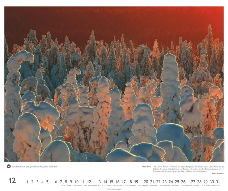 InsideView 12