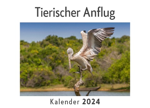 Tierischer Anflug (Wandkalender 2024, Kalender DIN A4 quer, Monatskalender im Querformat mit Kalendarium, Das perfekte Geschenk) - Anna Müller