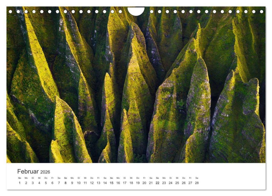 InsideView 7