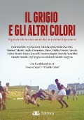 Il grigio e gli altri colori. Il grande calcio raccontato da uno stadio di provincia - 