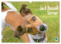 Cover-Bild zum Titel 'Jack Russell Terrier: flink und verspielt (Wandkalender 2026 DIN A3 quer), CALVENDO Monatskalender' von 'Calvendo Calvendo'